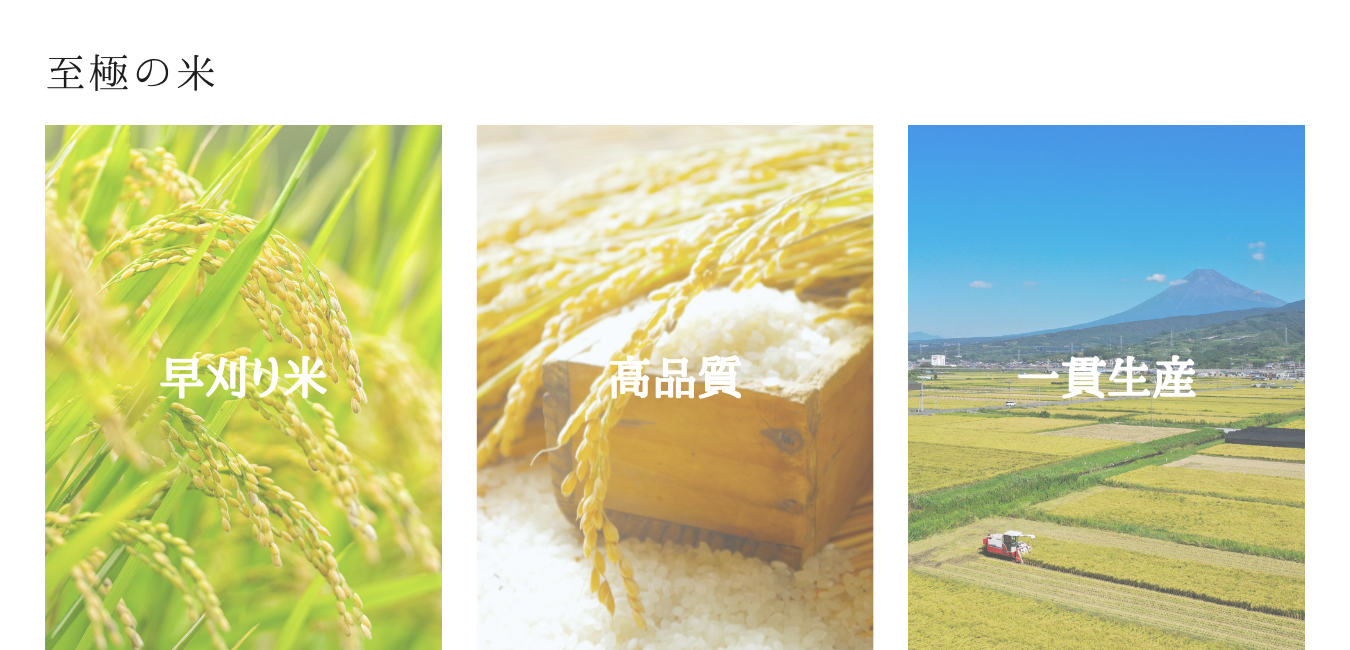 まゆ様専用 》 八ヶ岳山麓から自然栽培のお米 【玄米】１０ｋｇの+