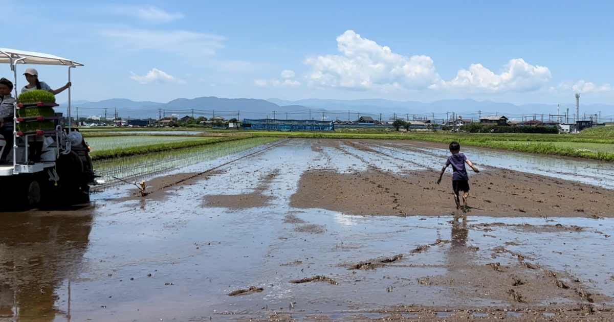 富士市で農業体験① 素足で田んぼに入ってみよう！ | 富士市の美味しい